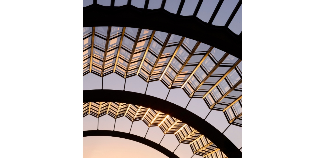 Olympia Canopy