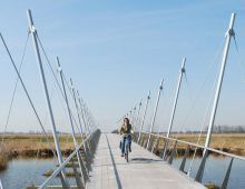 Pylons Bridge